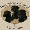 Donnybrook Kennel & Inn