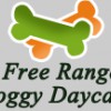 Free Range Doggy Daycare