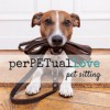 PerPETual Love Pet Sitting