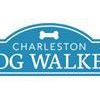 Charleston Dog Walker