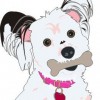 Ohana & Friends Pet Sitting