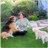 Home Sweet Home Pet Sitting & Dog Walking