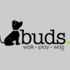 Buds
