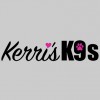 Kerrisk9s