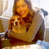 Four Paws Companions