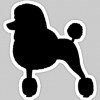 Poodles & Pals Holistic Pet Spaw