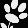 Central Pet