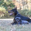 Indian Creek Kennel