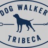 Tribeca Dog Walkers