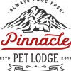 Le Traiteur Chien Pet Care