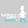Harlem's Happy Hounds