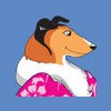Happy Tails Pet Resort