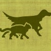 All The Best Pet Care