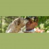 K-9 Behavior Rehabilitation