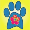 Maggie's Pampered Paws Pet Sitting