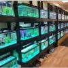 Lisa's Pet Place