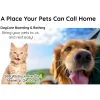 Marietta Doggy Daycare