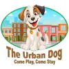 The Urban Dog