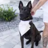 Tandem K9