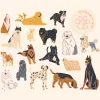 My Cute Pawz