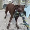 A Walk in the Park
