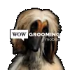 Wow Grooming