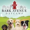 Bark Avenue Daycamp