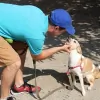 Jersey City Dog Walking