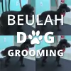 Beulah Dog Grooming