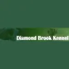 Diamond Brook Kennels