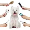 Mobile Pet Grooming Hollywood
