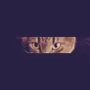 Cats and Friends