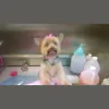 JJ's Mobile Dog Grooming