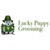 Lucky Puppy Grooming
