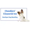 Clixworld Inn Dog Boarding