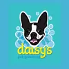 Daisy's Pet Grooming