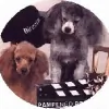 Pampered Pooch