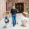 Nose, Toes & Tails Pet Care