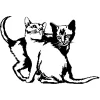 The Cats Meow