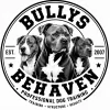Bullys Behaven