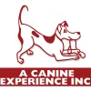 A Canine Experience