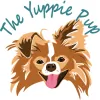 The Yuppie Pup