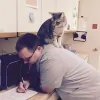 Belpar Pet Care Centre
