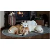 Tender Heart Pet Sitting