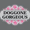 Doggone Gorgeous Four Paw Salon