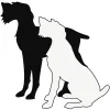 Creative Paws