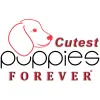 Cutest Puppies Forever