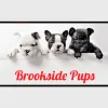 Brookside Pups