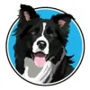 Finley's Friends Pet Care