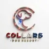 Collars Dog Resort
